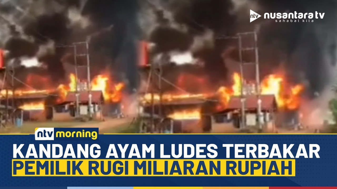 [LIVE] Kandang Ayam Ludes Terbakar di Jambi, Pemilik Rugi Miliaran Rupiah | NTV MORNING