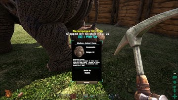 Animal poop collector - ARK