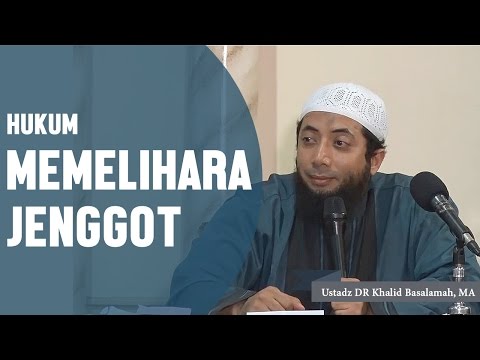 Video: Adakah janggut orang tua memerlukan air?