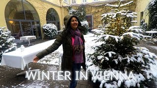 WINTER IN VIENNA - II