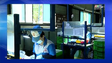 Đồng hành cùng nhà đầu tư 5/9/2024 | Thế mạnh của nhóm ngành chế biến chế tạo tại BR-VT | BRT TV