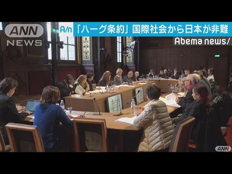 加盟から5年「ハーグ条約」　集まる国際社会の非難(19/03/09)