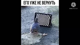 Funny videos 2021 / Смешные приколы #3 2021