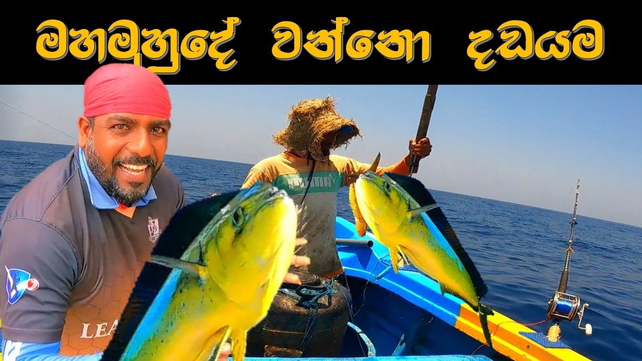 මහ මුහුදේ මාළු දඩයමේ යමුද | Fish Hunt | @wishwatiyubaya 🐋🙄🎣