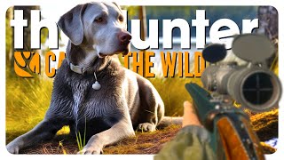 Hunting ducks with my NEW DOG! (labrador dlc) | theHunter: Call of the Wild screenshot 3