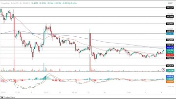 Loopring Price Prediction 2024, 2025, 2030: Will LRC Price Hit New Yearly High Soon?