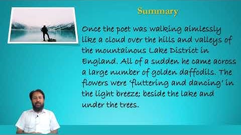 JCERT CLASS 8 DAFFODIL UNIT 2b DAFFODILS SUMMARY IN ENGLISH