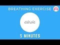 Breathing exercises to stop a panic attack now  take a deep breath