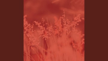 Calm Moods for Self Care