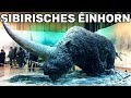 10 Ausgestorbene Tiere Die Bald Wieder Auferstehen Werden 10 Ausgestorbene Tiere Die Bald Wieder Auferstehen Werden