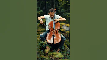 La Leçon Particulière Cello Music Viral Francislai 