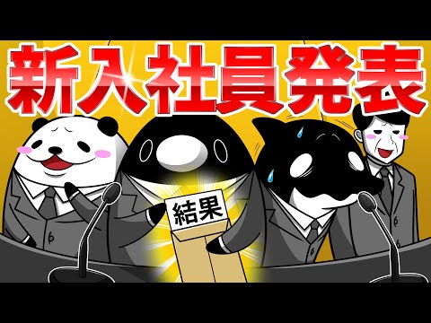 hqdefault.jpg?v=619b632b