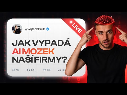 🔴 Jak vypadá AI mozek naší firmy?