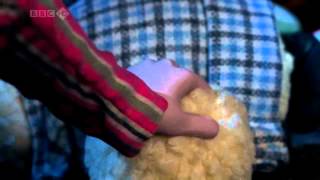 Shaun The Sheep S02E10 720p HDTV x264 SFM Lock Out