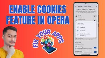 How to Enable the Cookies Feature in Opera Browser