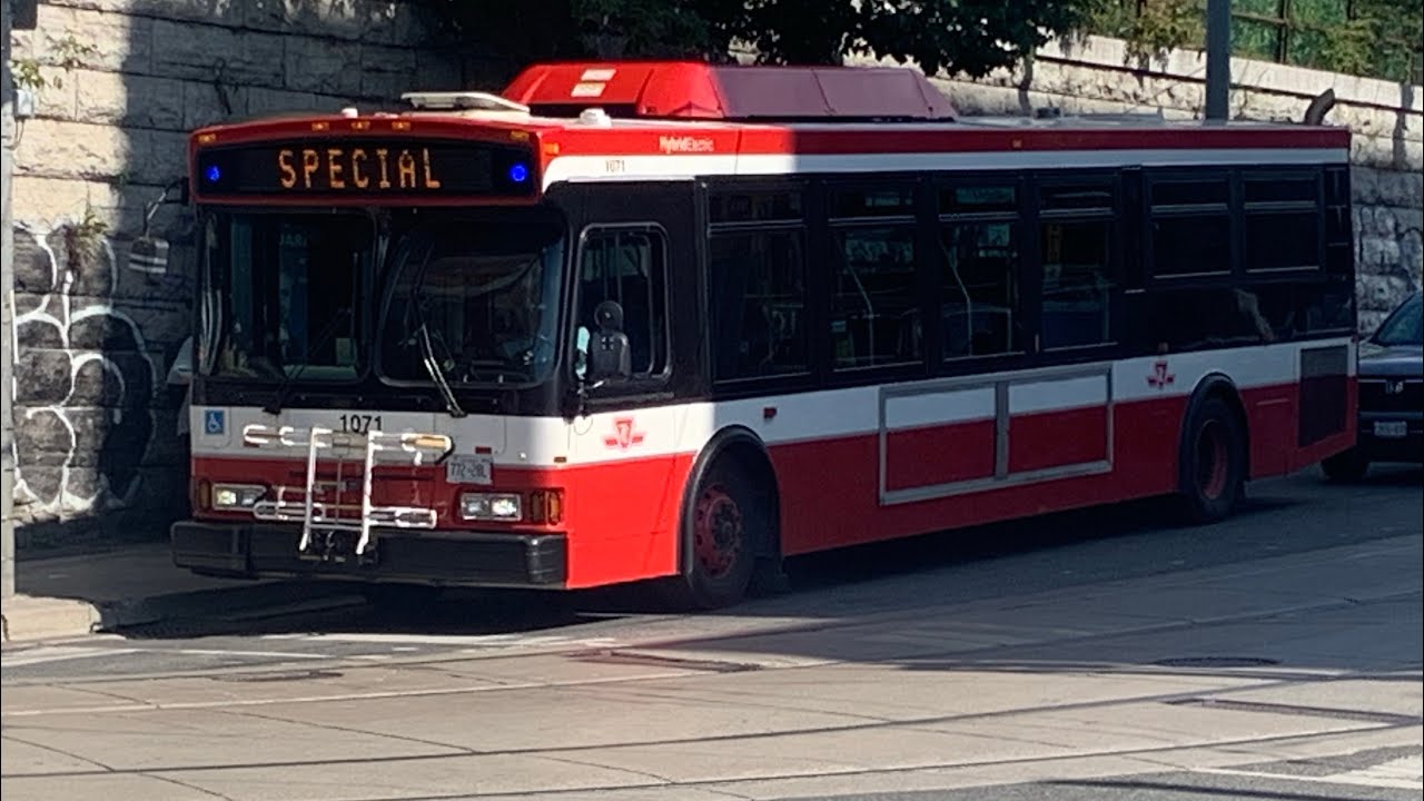 Short TTC bus compilation YouTube