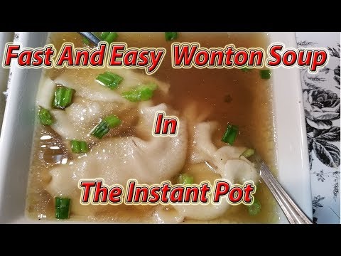 Fast and Easy wonton soup in Instant Pot | Amazing Wonton Soup | Pothead 101