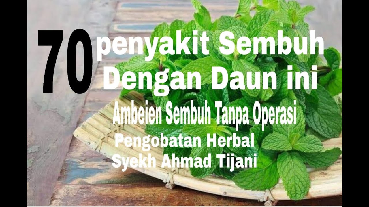 Obat Ampuh Ambeien Tanpa Operasi Resep Syekh Ahmad Tijani