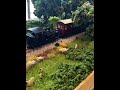 Model trains
