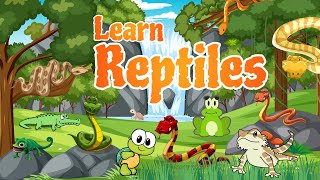 Learn about Reptiles