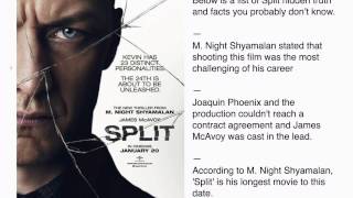 Split Hidden Facts & Truth You Probably Don’t Know