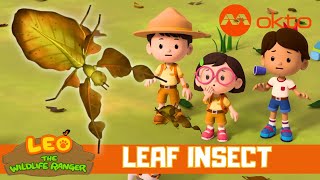 NEW DISCOVERY! Is this a LEAF or an INSECT? | Leo the Wildlife Ranger Spinoff S4E01 | @mediacorpokto