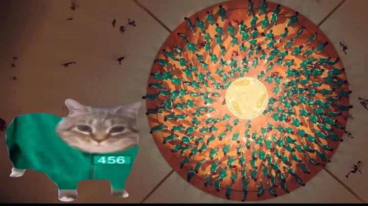 OIIAOIIA Spinning Cat X Round and Round - Squid Games 2