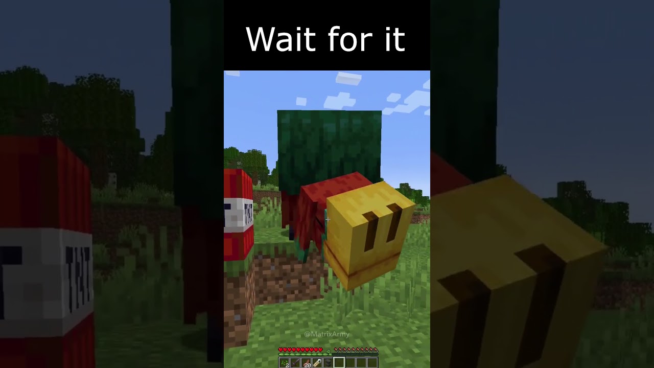 Memes em Imagens Minecraft #001 #Shorts 