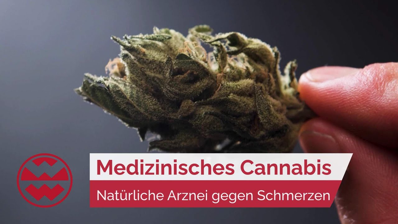Medizinisches Cannabis: Natürliche Arznei gegen Schmerzen - Life Goes On | Welt der Wunder