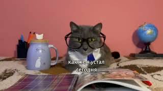 Трейлер Заклятие Злой Ведьмы 2 Смерть Юля