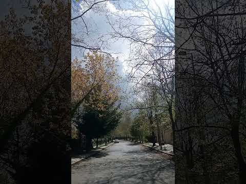 عم حس إني غريبة متابعة 