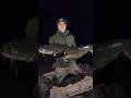 Трофейний СОМ на Лайт!💪🔥 #fishing #риболовля #spinning #spinningfishing #carpfishing