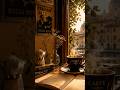 Italian coffe vibe #nightvibes #music #relaxnightjazz #bossanova #relaxingmusic #love