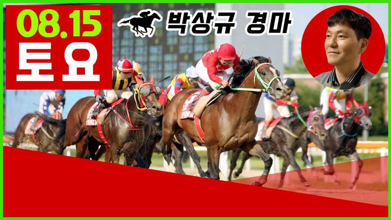 2026년 8월15일 토요 경마, 방송 보신분들 모두 좋은 결과 있기를 기원합니다.