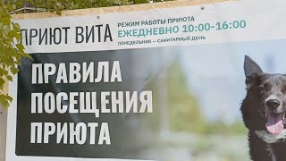 Приют "Вита" Ярославль