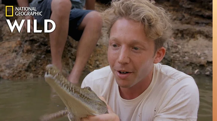 Freshwater Crocodiles Finding New Territory | Out ...