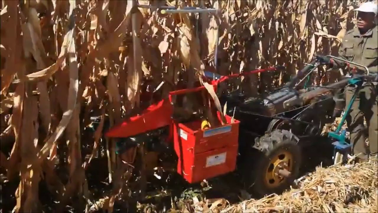  ALAT  MESIN PEMANEN PANEN  JAGUNG  TRAKTOR RODA DUA MESIN DI 