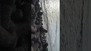 Original view...!!!#shorts #trending #marinelife #water #walkthrough