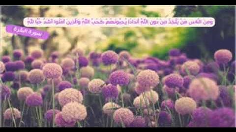 تلاوة تشرح الصدر من سورة البقرة _ الشيخ ناصر القطامي