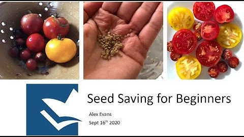Seed Saving for Beginners