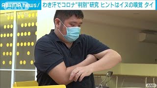 脇汗の臭いでコロナ感染検知　犬の嗅ぎ分けがヒント(2021年9月20日)