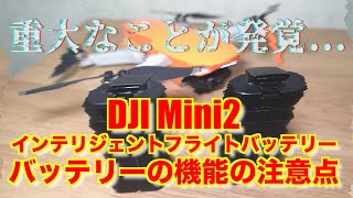【初心者、ショップ関係者も必見】 - DJI Mini2 インテリジェントフライトバッテリー バッテリーの機能（放電機能）の日本版、海外版の差異の注意点 - 取り扱いを間違えると墜落のリスクもあります