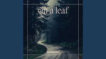 Consistent and Soothing Rain