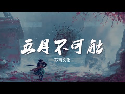 五月不可触 苏小南 动态歌词 Music Lyrics Youtube