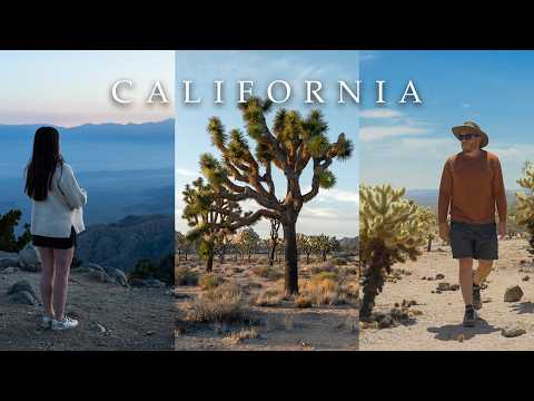 Transportation From Palm Springs To Joshua Tree