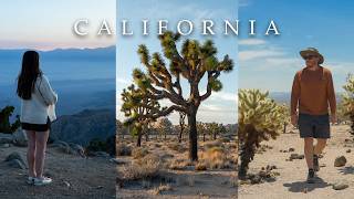 How to Plan The Ultimate Joshua Tree National Park & Palm Springs Road Trip!