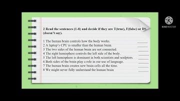 Action 10.  Module 6 a Physical structure of the human brain. One brain or two?