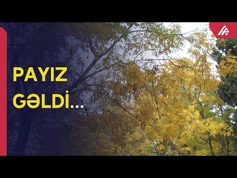 Azərbaycana payız fəsli daxil oldu - APA TV