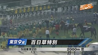 百日草特別［2023.11.5 東京第9R/2000m 芝］