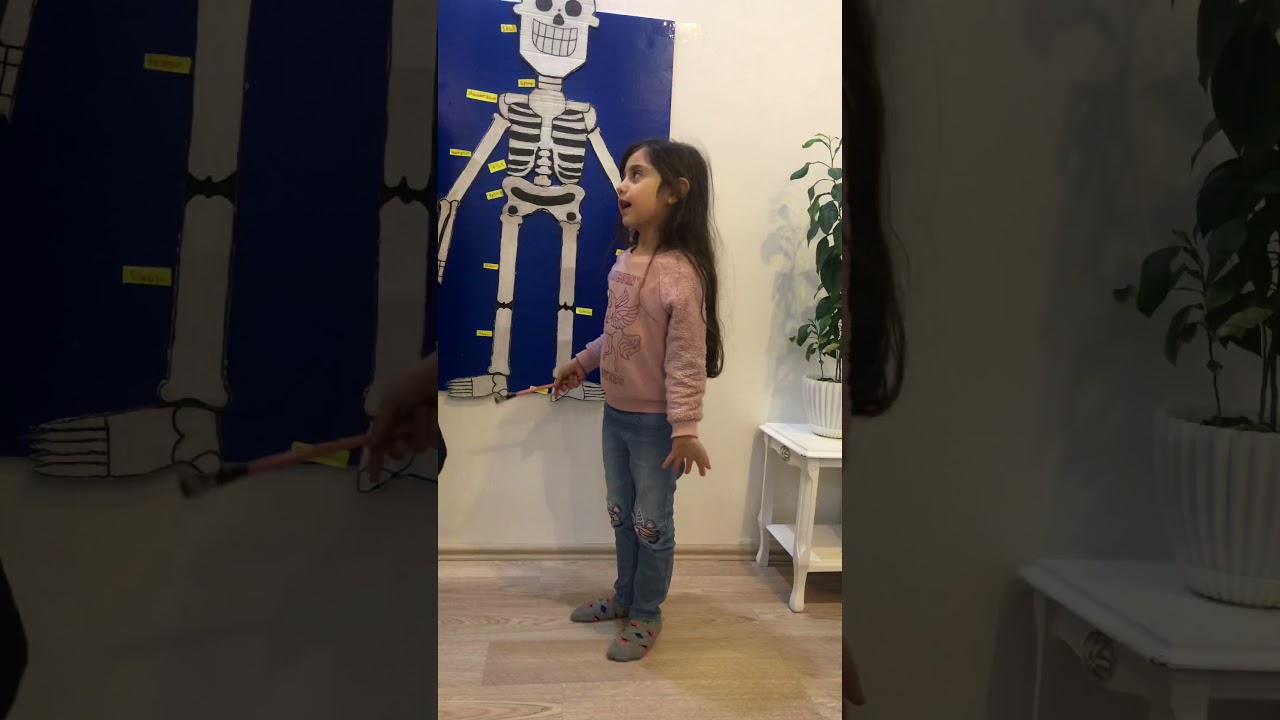 Skeleton, Elena and Tina explain the skeleton.